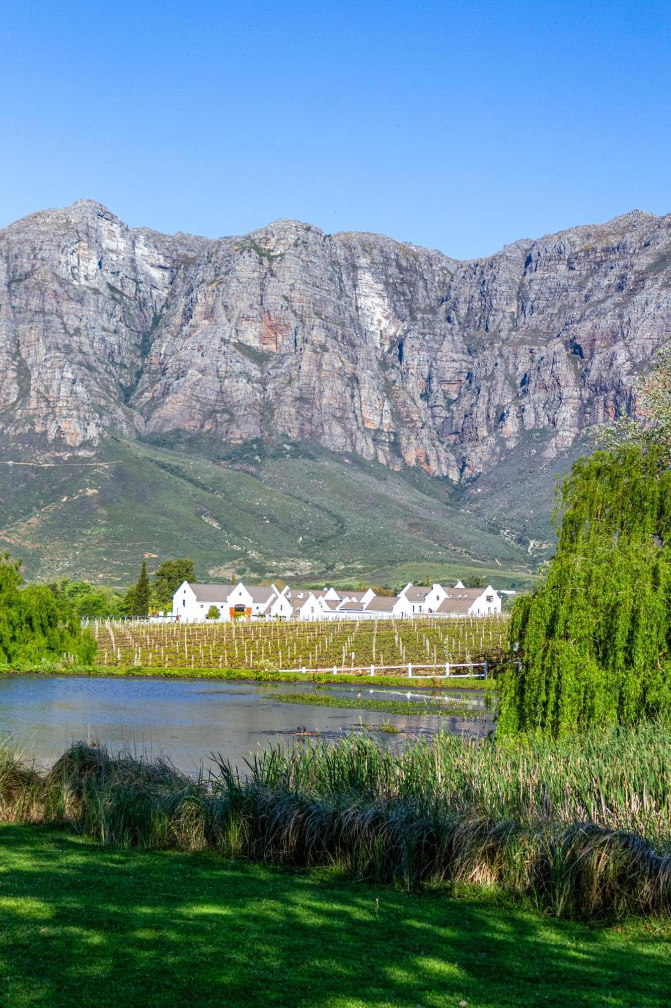 Zorgvliet Wines Country Lodge Stellenbosch Bagian luar foto