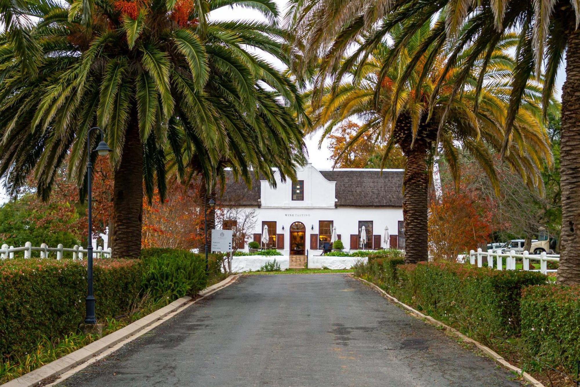 Zorgvliet Wines Country Lodge Stellenbosch Bagian luar foto
