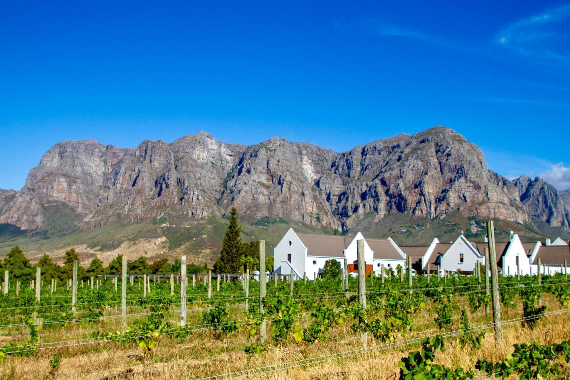 Zorgvliet Wines Country Lodge Stellenbosch Bagian luar foto