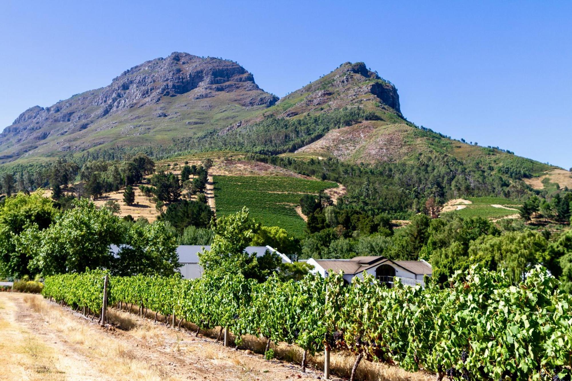 Zorgvliet Wines Country Lodge Stellenbosch Bagian luar foto