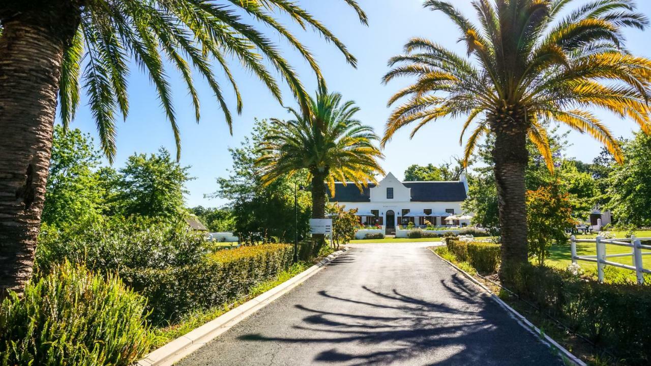 Zorgvliet Wines Country Lodge Stellenbosch Bagian luar foto